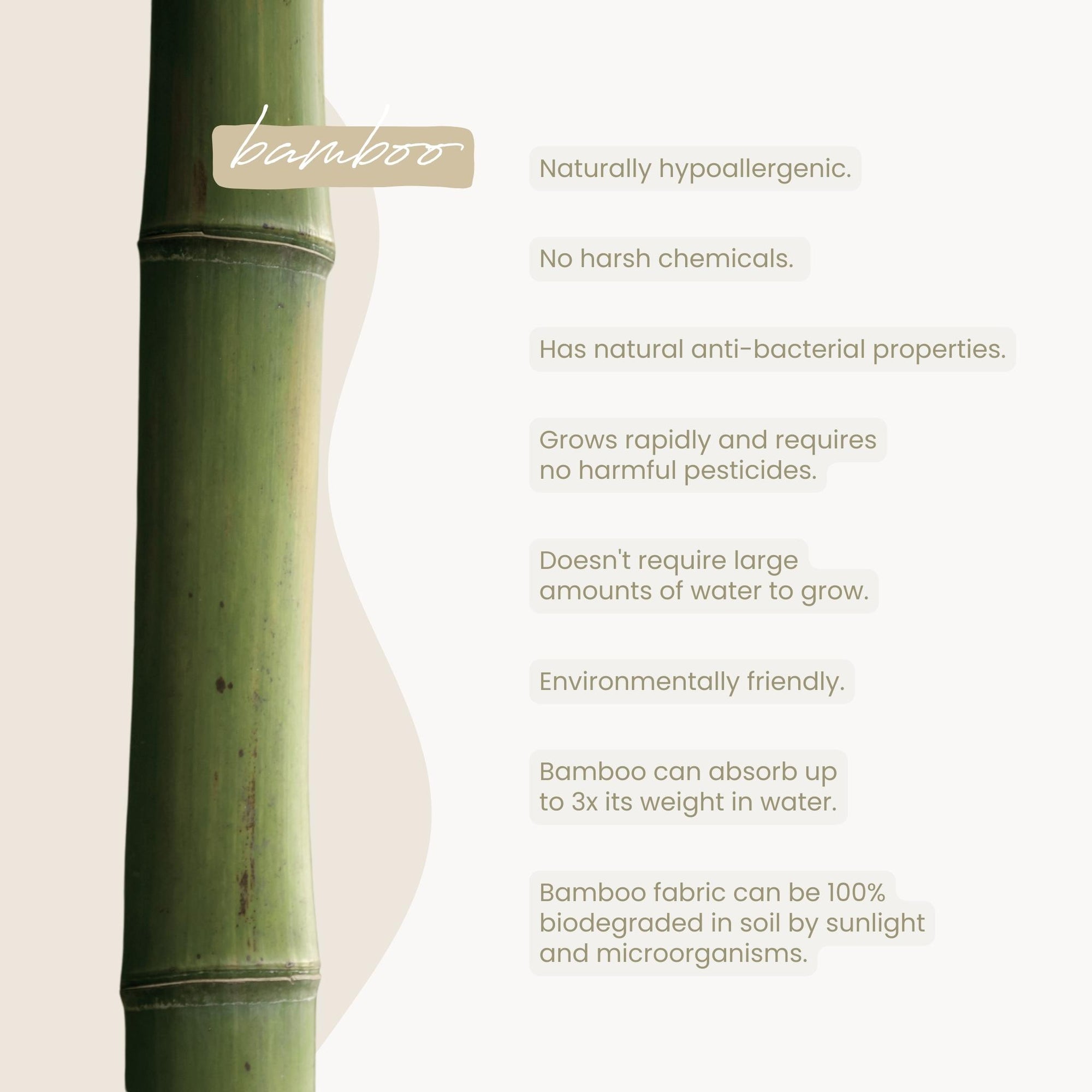 Pandas Bamboo Reusable Cloth Nappy & Insert | NATURAL
