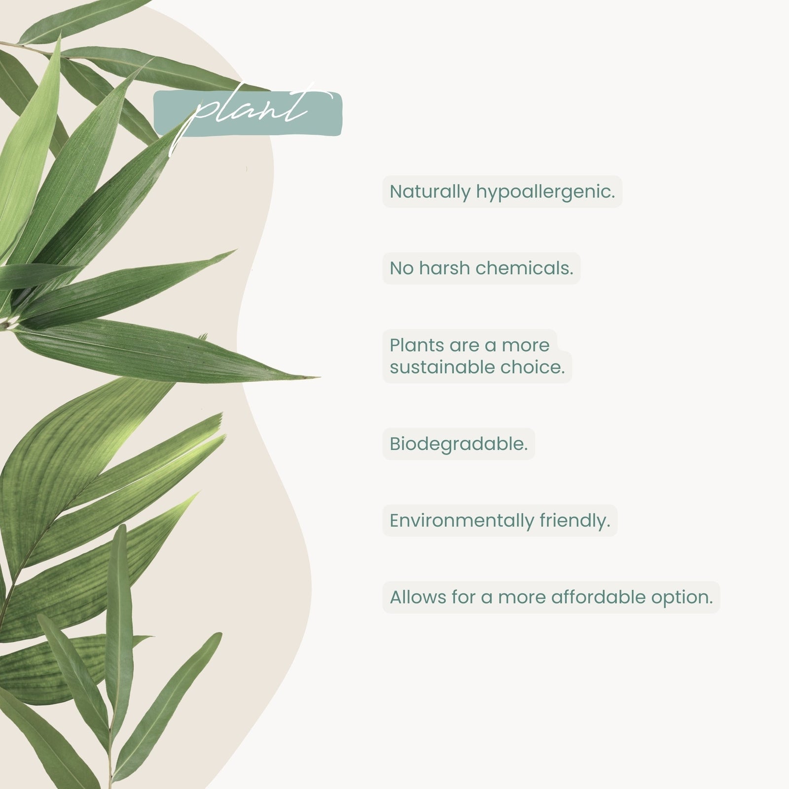 Haléco by Luvme 80pk Water Wipes | 12 PACK