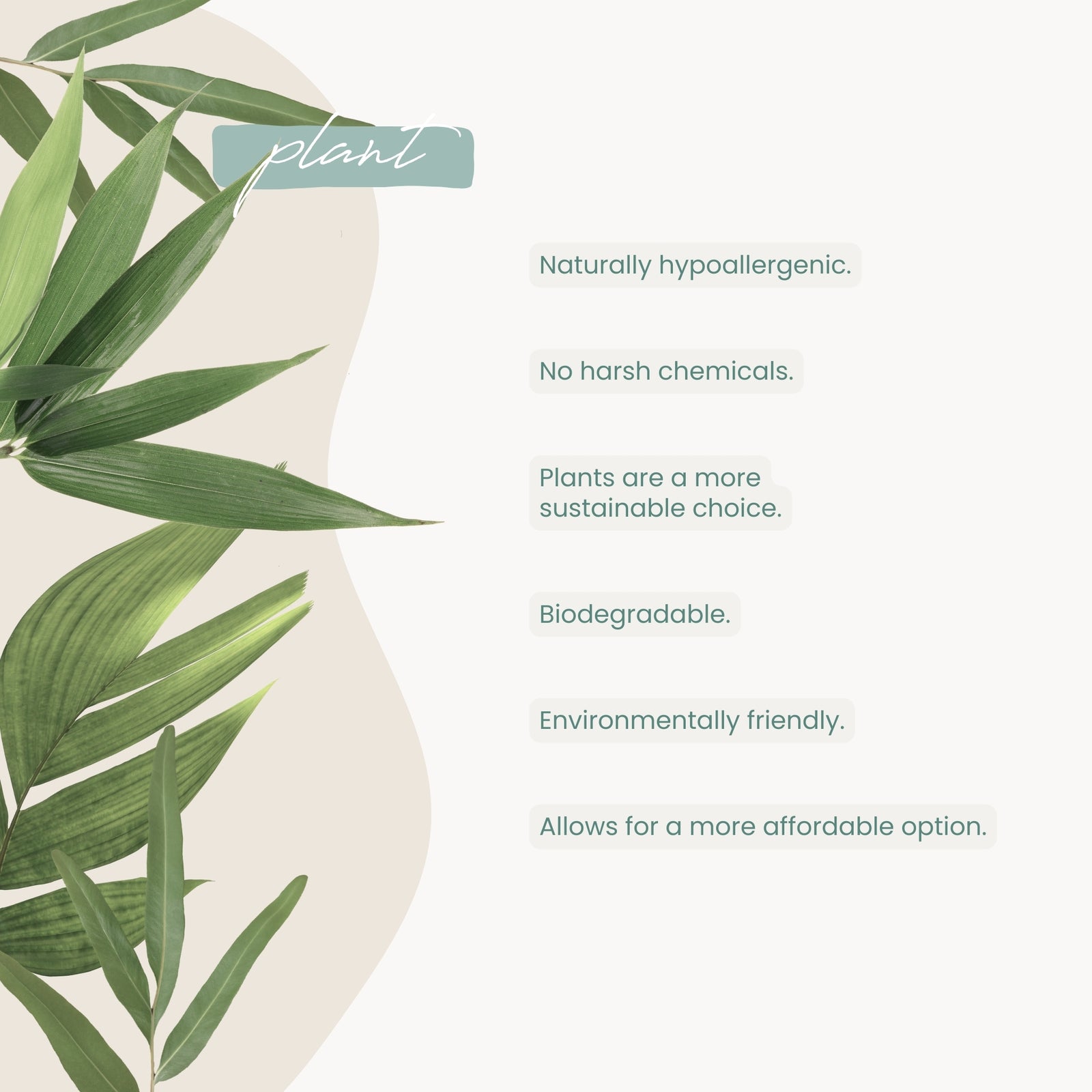 Haléco by Luvme 80pk Plant Wipes | 12 PACKS