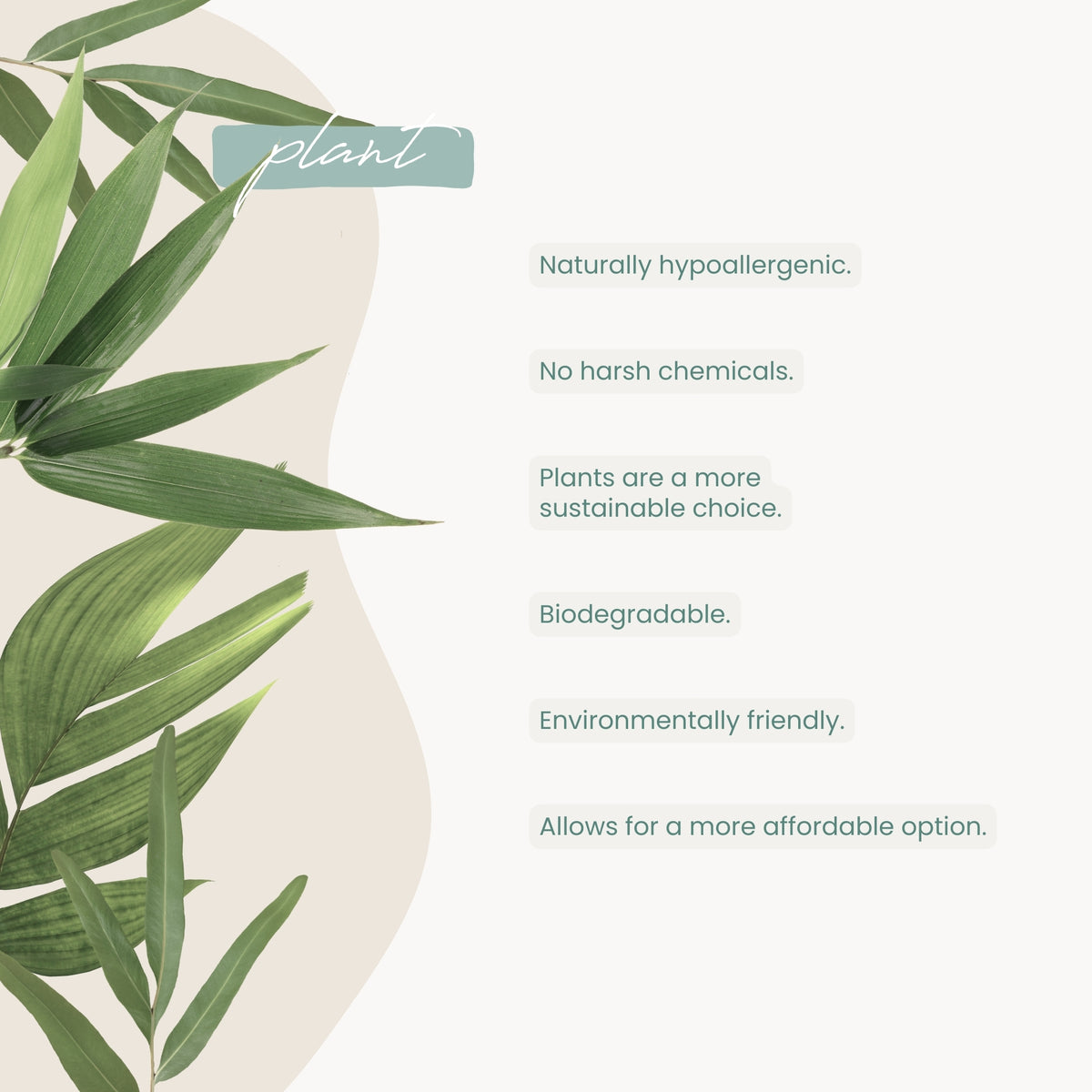 Haléco by Luvme 80pk Plant Wipes  | 6 PACKS